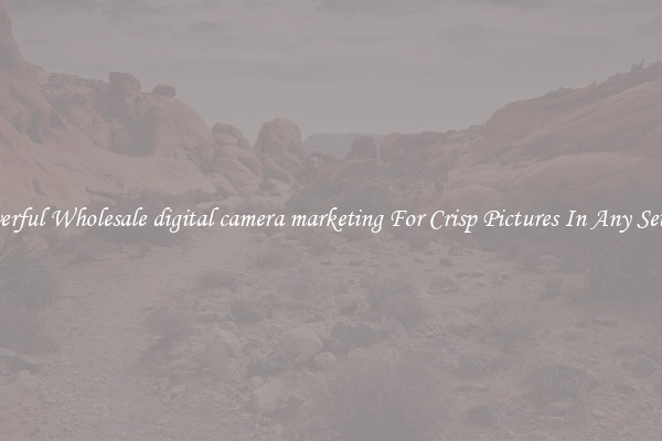 Powerful Wholesale digital camera marketing For Crisp Pictures In Any Setting