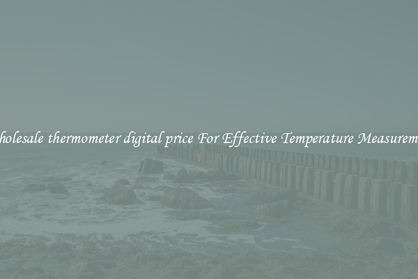Wholesale thermometer digital price For Effective Temperature Measurement