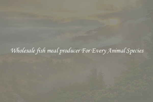 Wholesale fish meal producer For Every Animal Species