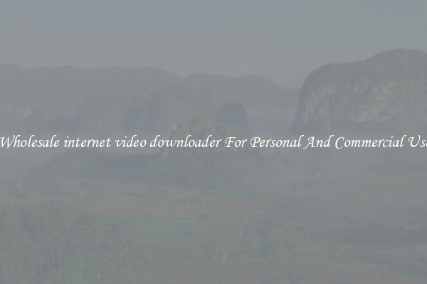 Wholesale internet video downloader For Personal And Commercial Use