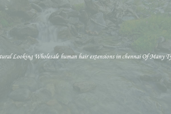 Natural Looking Wholesale human hair extensions in chennai Of Many Types