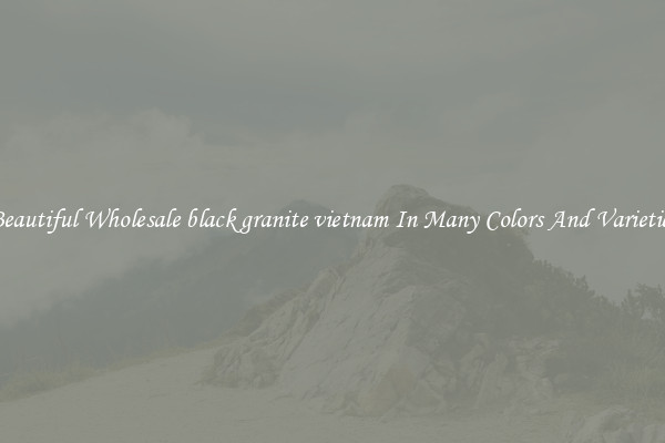 Beautiful Wholesale black granite vietnam In Many Colors And Varieties