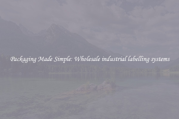 Packaging Made Simple: Wholesale industrial labelling systems