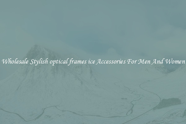 Wholesale Stylish optical frames ice Accessories For Men And Women