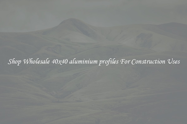 Shop Wholesale 40x40 aluminium profiles For Construction Uses