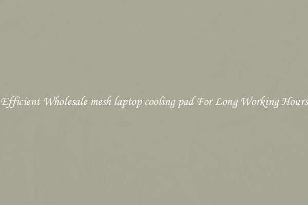Efficient Wholesale mesh laptop cooling pad For Long Working Hours