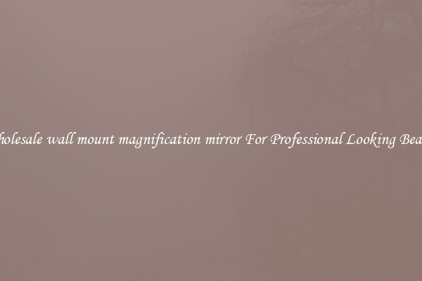 Wholesale wall mount magnification mirror For Professional Looking Beauty