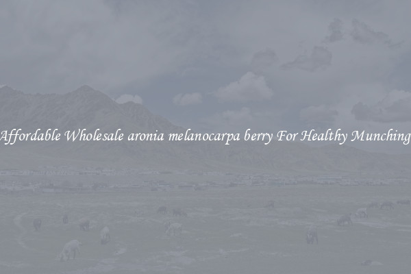 Affordable Wholesale aronia melanocarpa berry For Healthy Munching 