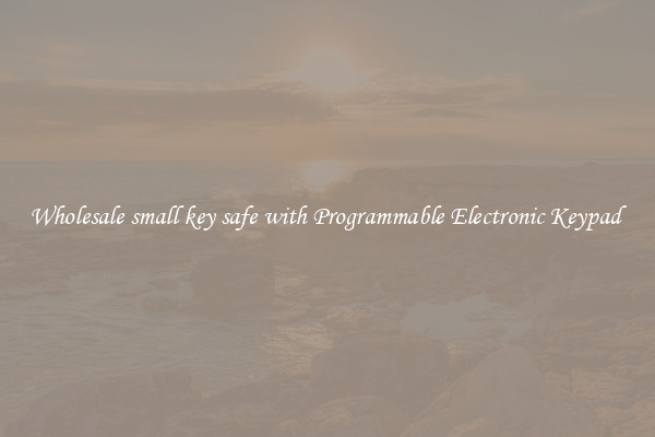 Wholesale small key safe with Programmable Electronic Keypad 
