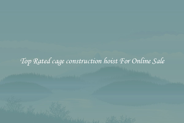 Top Rated cage construction hoist For Online Sale