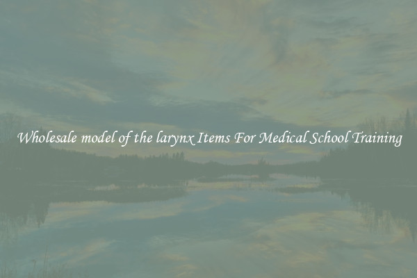 Wholesale model of the larynx Items For Medical School Training