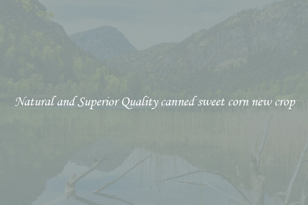 Natural and Superior Quality canned sweet corn new crop