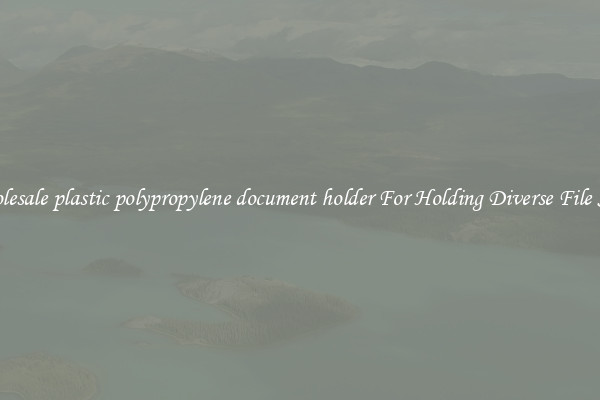 Wholesale plastic polypropylene document holder For Holding Diverse File Sizes